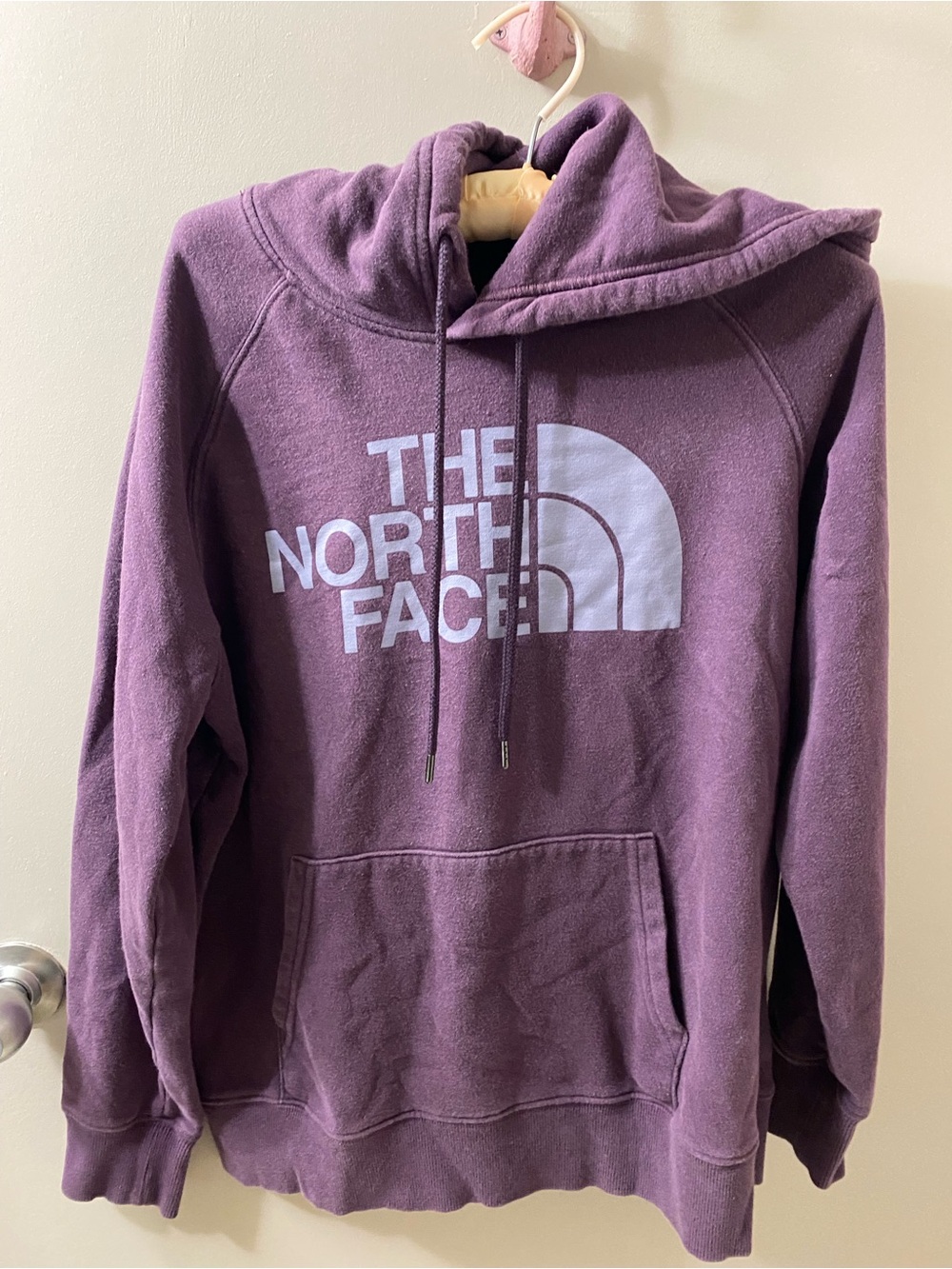The North Face Plum Pullover Hoodie